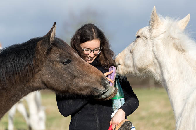 Gabi Neurohr Foal Education - Mathilde gets crowded by two foals