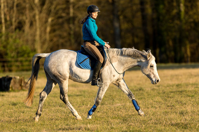 Gabi Neurohr Horse Training - Control the gait