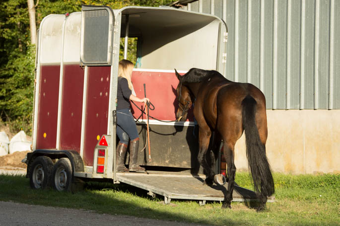 Gabi Neurohr Horse Training - horse walks into trailer