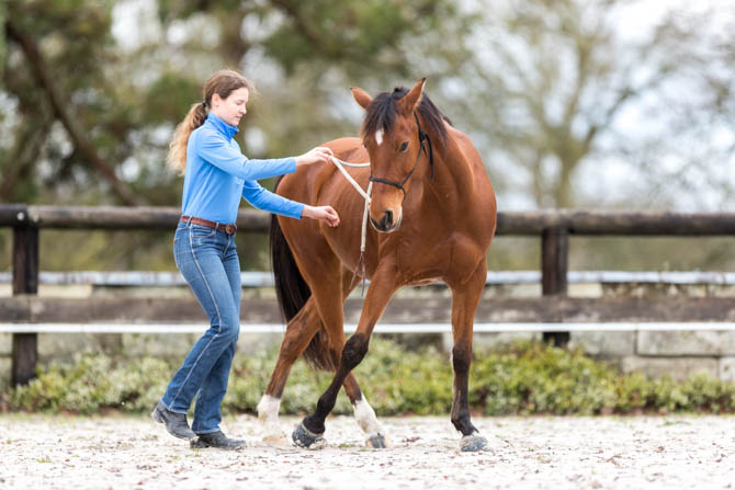 Gabi Neurohr Débourrage - un cheval fait des mouvements latéraux