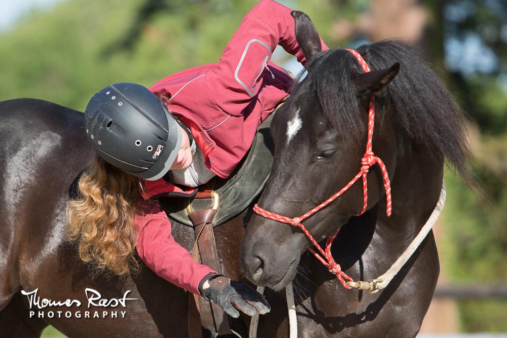 Gabi Neurohr débourrage - jeune jument noire est montée pour la première fois par une spécialiste des jeunes chevaux
