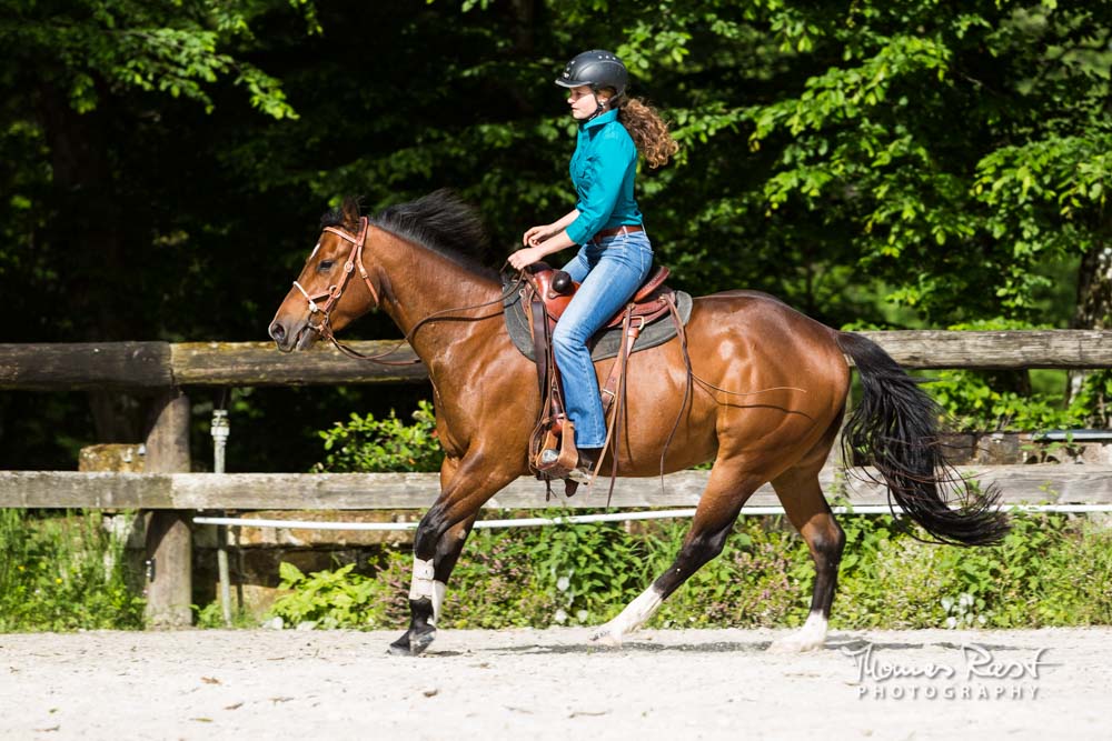Gabi Neurohr Horse Training - Canter with Quarter Horse mare