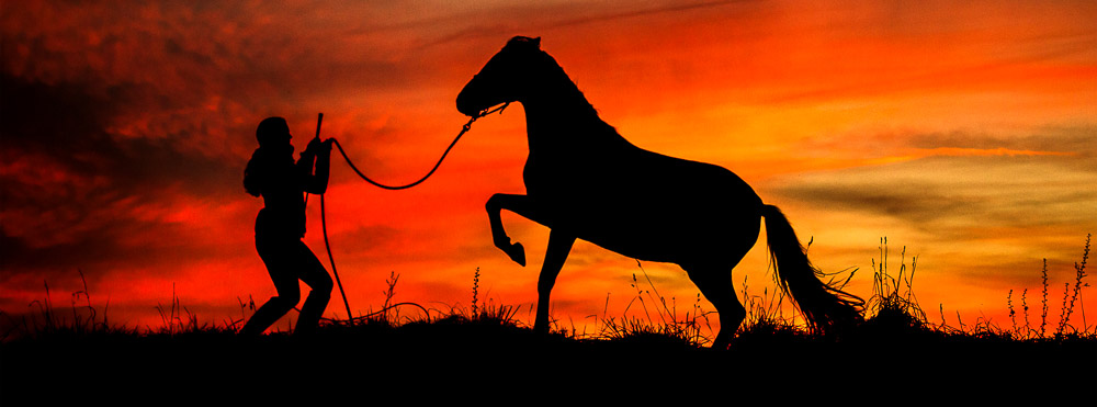 Gabi Neurohr with rearing horse as silhouette in colourful sunset