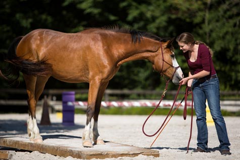 Gabi Neurohr joue avec un jeune cheval sur la passerelle