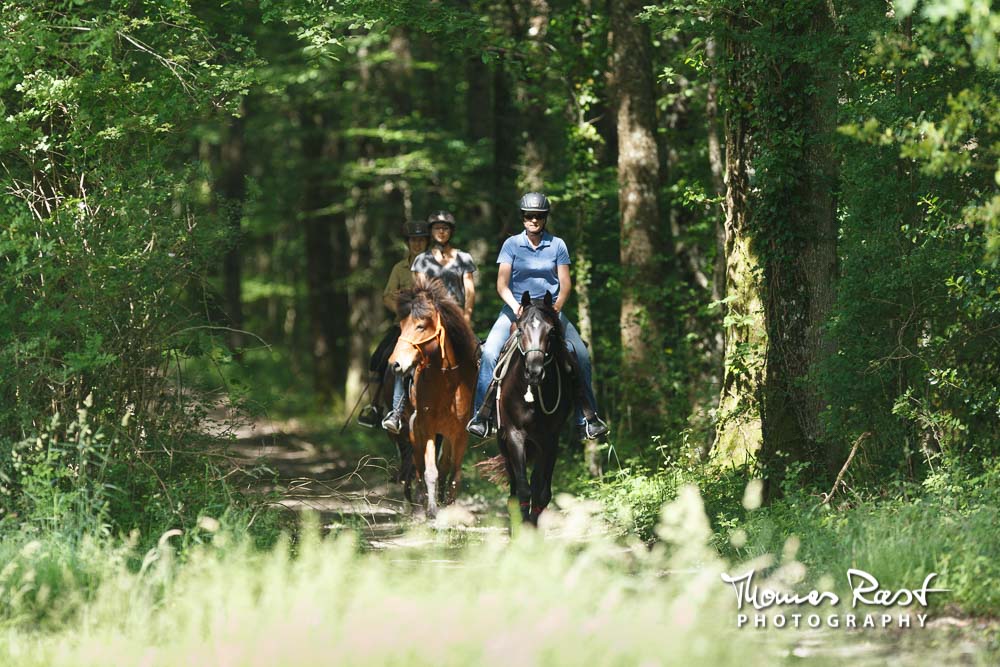 Gabi Neurohr débourrage - jeune jument noire fait sa première balade dans la forêt avec dautres chevaux