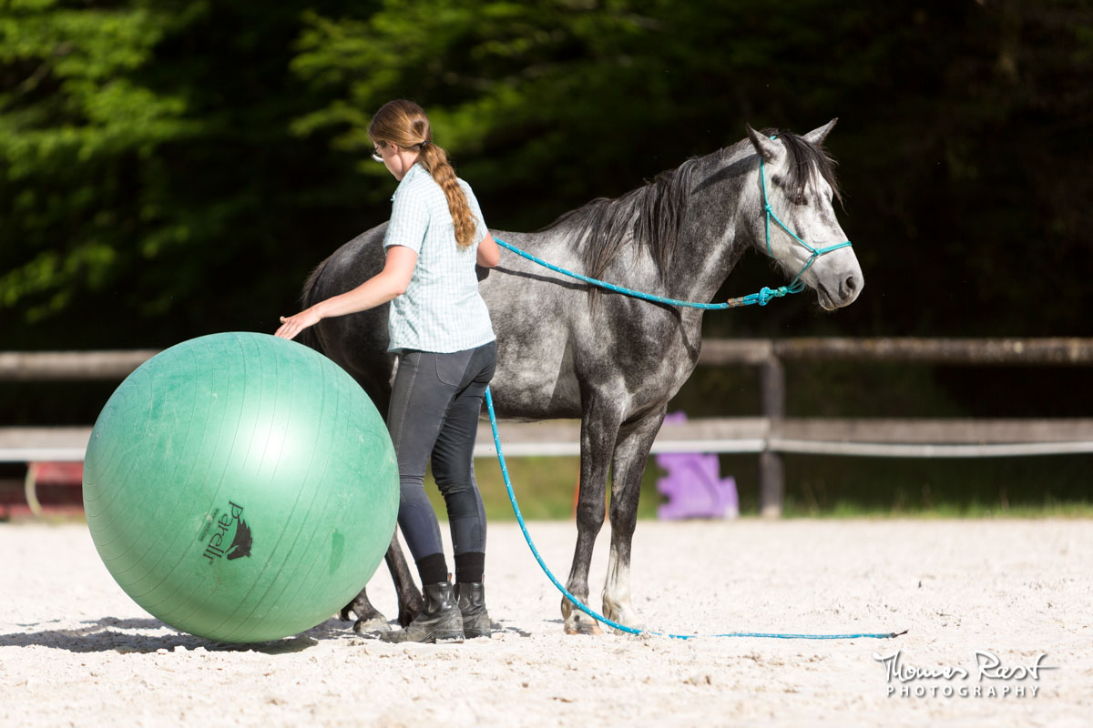 Gabi Neurohr désensibilise un cheval peureux au ballon