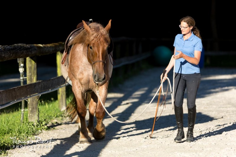 Gabi Neurohr colt starting pushy horse learns to keep distances 