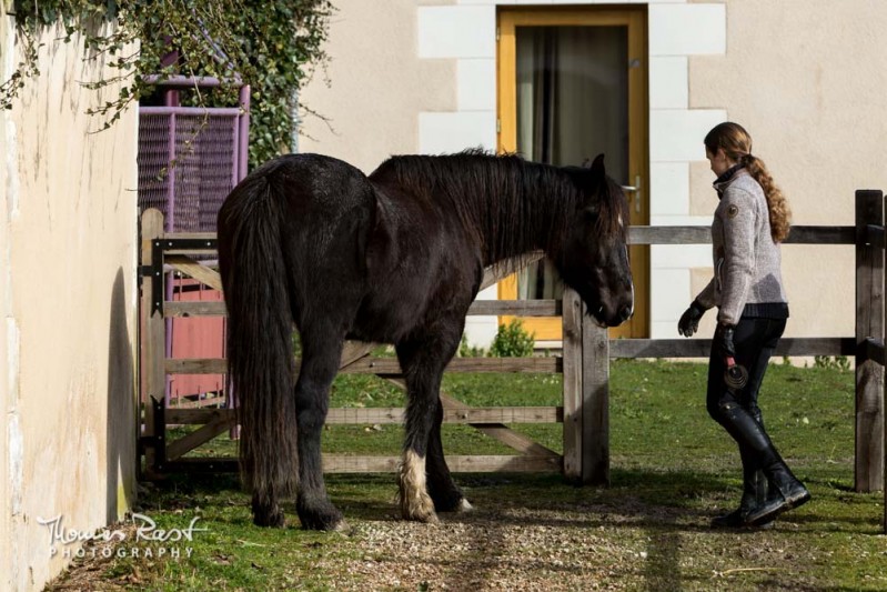 Gabi Neurohr problem horse - horsemanship trainer says hello to a sceptic horse