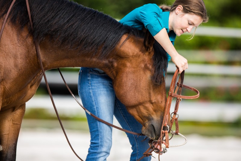 Gabi Neurohr travail du cheval apprendre à son cheval à mettre le filet cheval qui met le mors tout seul éthologie