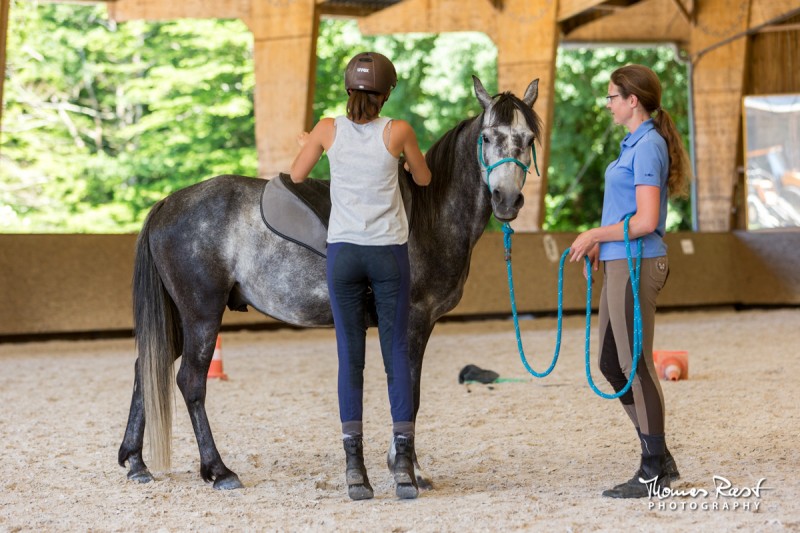 Gabi Neurohr cheval difficile exercices de montoir préparer à la monte rééducation cheval craintif