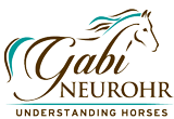 Gabi Neurohr-Understanding Horses
